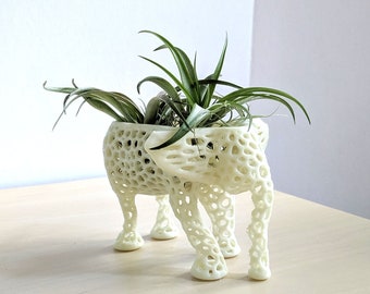 Medium Kokedama Elephant Planter for Hygge Home Cactus Planter, Elephant Air Plant Holder, Succulent Planter Animal Planter Air Plant Holder