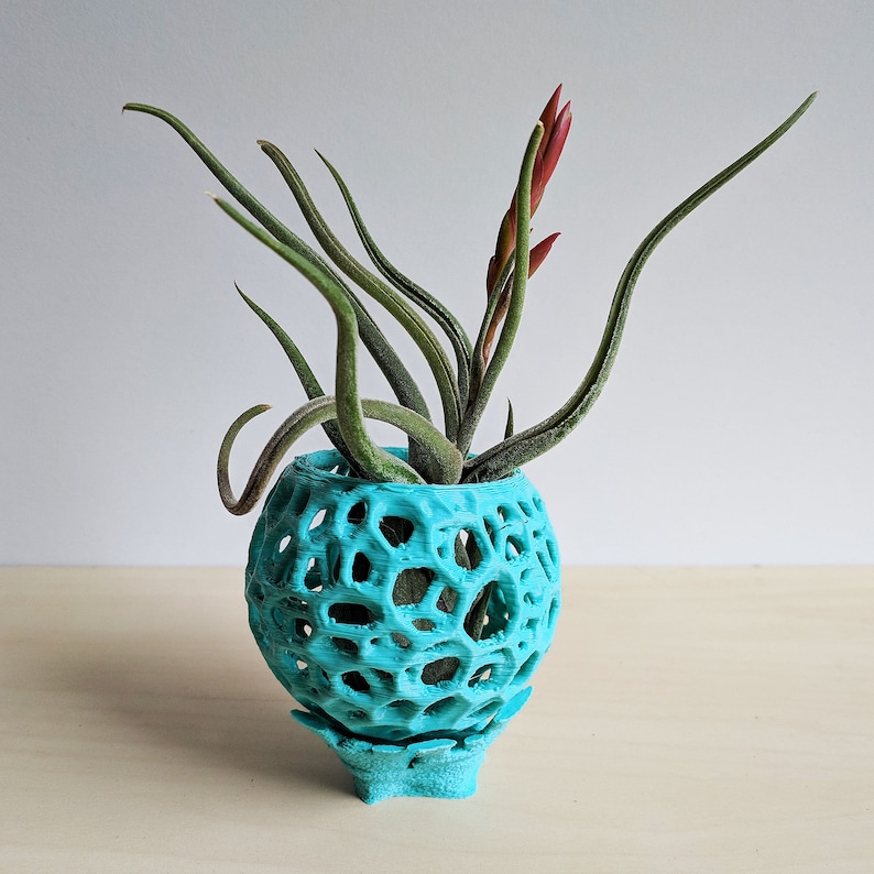 Maceta para orquídeas Kokedama DIY, macetero colgante, soporte para plantas de aire, bola de musgo, diseño Voronoi para orquídeas bonsái y más imagen 6