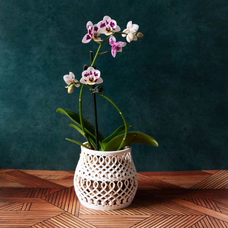 Bellied Orchid Pot With Holes Orchid Planter in the Style of Etsy Canada