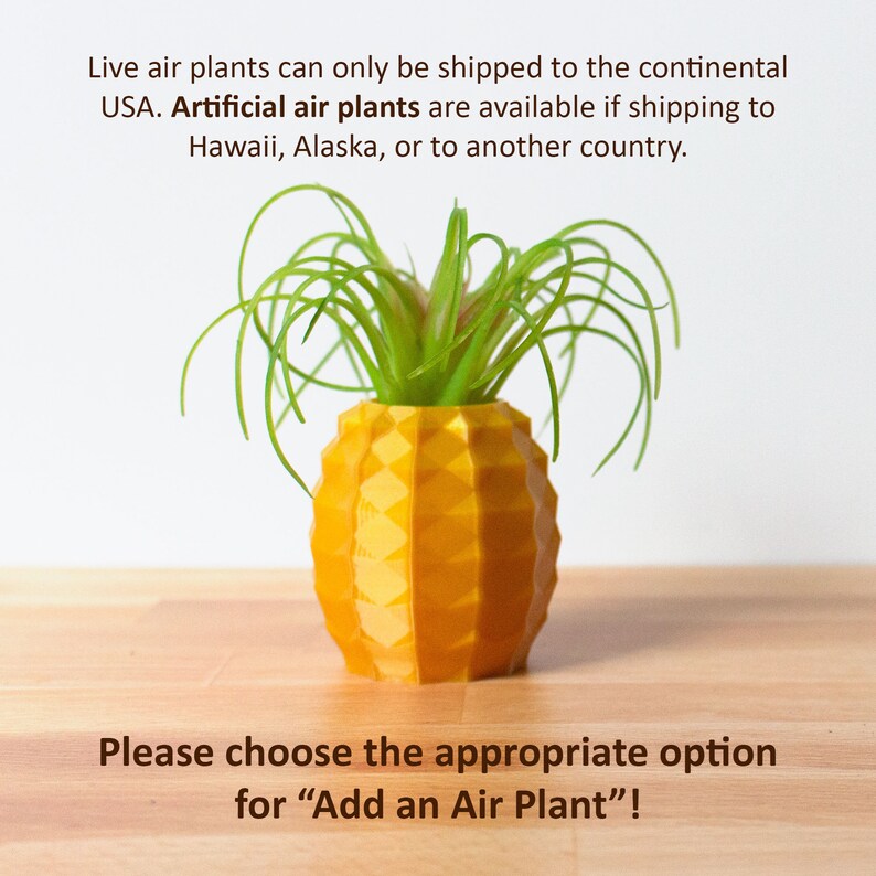 Pineapple Air Plant Holder Pineapple Airplant Geometric Air Etsy