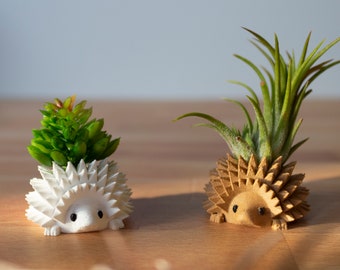 Single Mini Hedgehog Planter, Mini Hedgehog Pot, Tiny Succulent Planter, Tiny Hedgehog Air Planter | NOVELTY Planter, SPECIALTY Tiny Planter