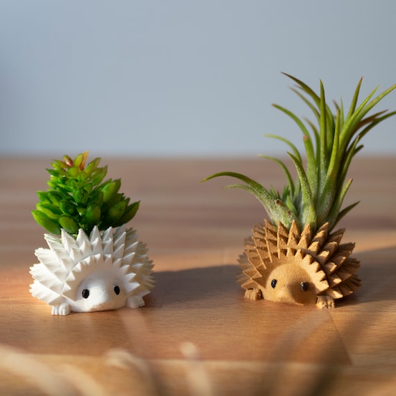 Mini Hedgehog 3D Printed Planter