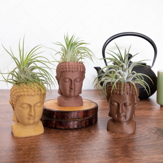 Wood Buddha Air Plant Holder, 3D Printed Wooden Buddha Head Air Planter -  Etsy
