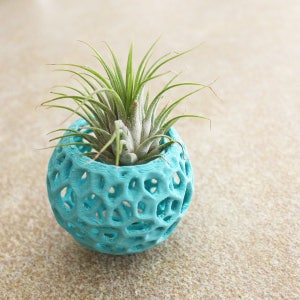 Maceta para orquídeas Kokedama DIY, macetero colgante, soporte para plantas de aire, bola de musgo, diseño Voronoi para orquídeas bonsái y más imagen 5