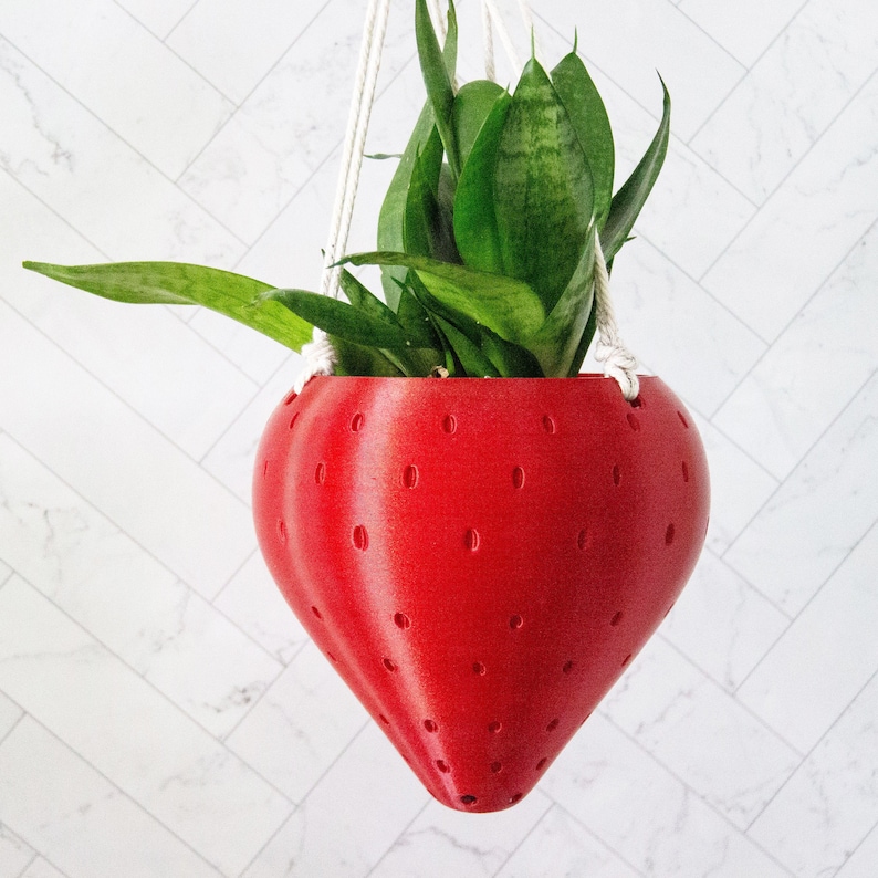 Medium Strawberry Hanging Planter for Snake Plants Outdoor Etsy