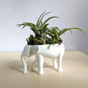 Elephant Planter for Hygge Home Cactus Planter, Elephant Air Plant Holder, Succulent Planter Cute Animal Pot Animal Planter Air Plant Holder