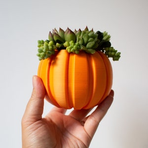 Succulent Pumpkin Planter, Fall Succulent Planter, Autumn Pumpkin Pot, Fall Decor Pumpkin, Thanksgiving Pumpkin, Thanksgiving Table Decor image 5