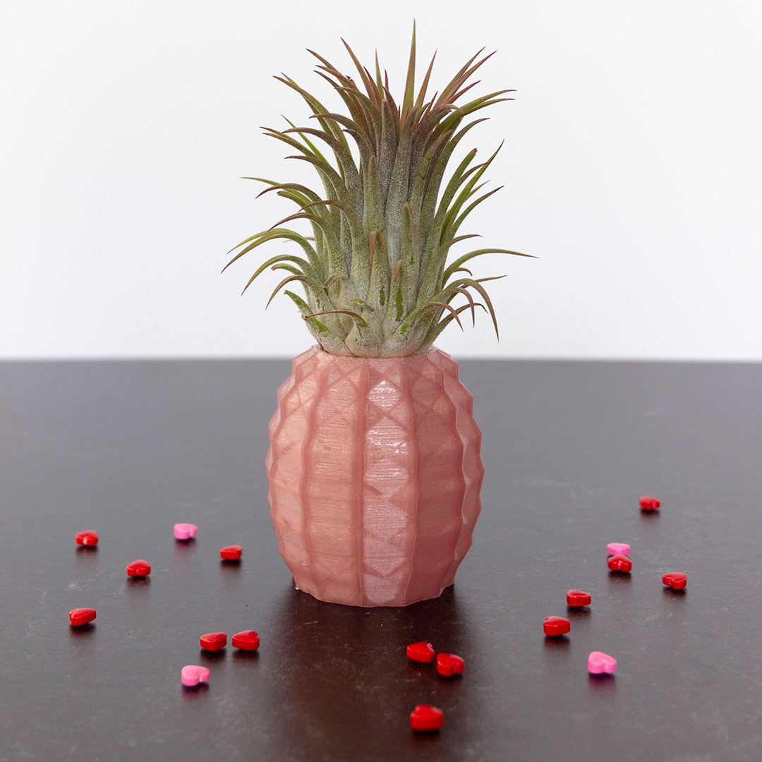 Rose Gold Pineapple Air Plant Holder, Pineapple Airplant, Geometric Air