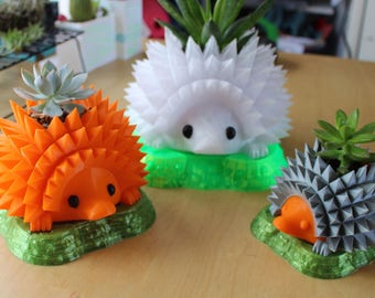 Grassy Knoll Abtropfschale ~ Wasserdichte Pflanzschale für Igel und andere Töpfe
