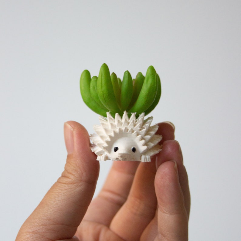 Single Mini Hedgehog Planter, Mini Hedgehog Pot, Tiny Succulent Planter, Tiny Hedgehog Air Planter NOVELTY Planter, SPECIALTY Tiny Planter image 4