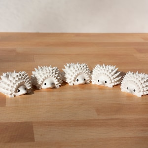 Op de afbeelding: Vijf witte keramische egels op een rij op een houten oppervlak. De egels kijken allemaal in dezelfde richting en hebben zwarte ogen.