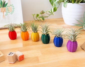 MINI Rainbow Pineapple Air Planters - Rainbow Gift, Pineapple Air Plant Holders, Gay Pride, LGBT Gift, Mini Pineapple Pots