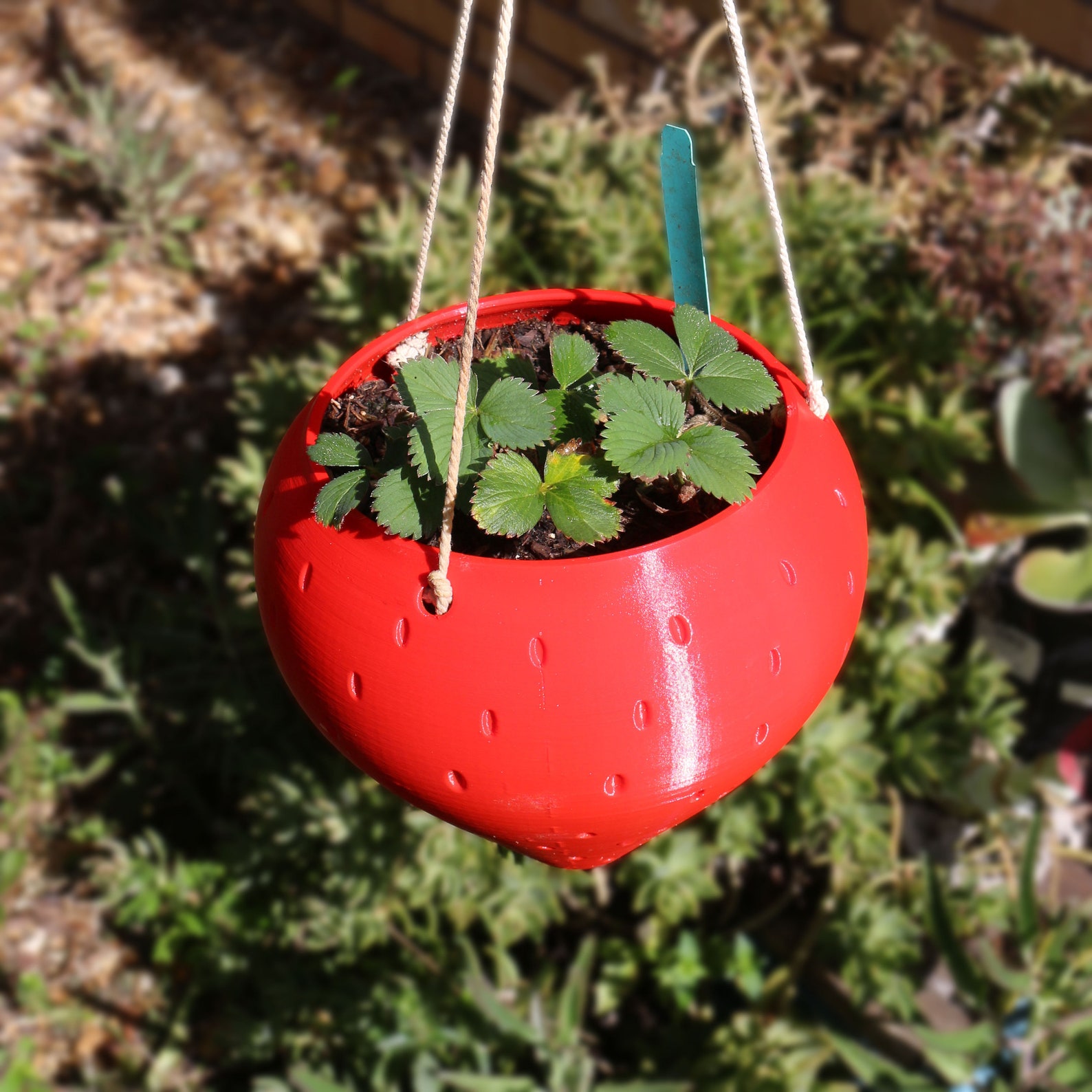 Strawberry Hanging Planter Outdoor Hanging Planter Pot for Etsy UK