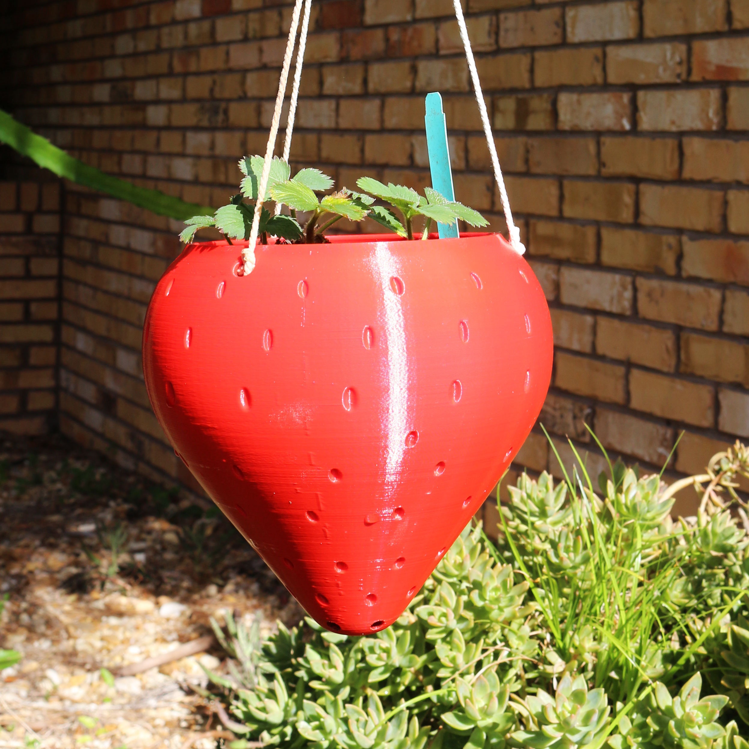 Grow Plant Bag Hanging Flower Garden Planter Outdoor Pouch Strawberry Herb QZ 