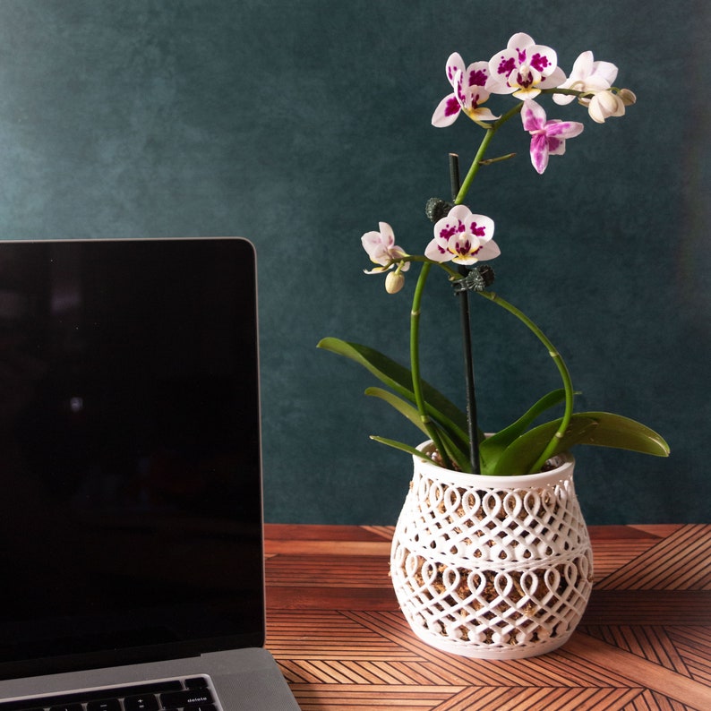 Bellied Orchid Pot with Holes Orchid Planter in the style