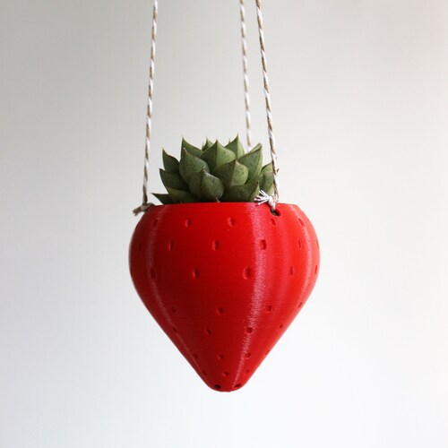 Maceta colgante pequeña para fresas, ideal para suculentas, ideal para jardín de fresas, maceta para fresas, macetero colgante