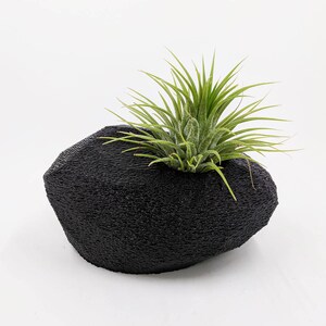 Modern Rock Air Plant Holder, Stone-Shaped Air Plant Holder Glitter & Other Color Options Glam Hygge, Fancy Air Plant image 8