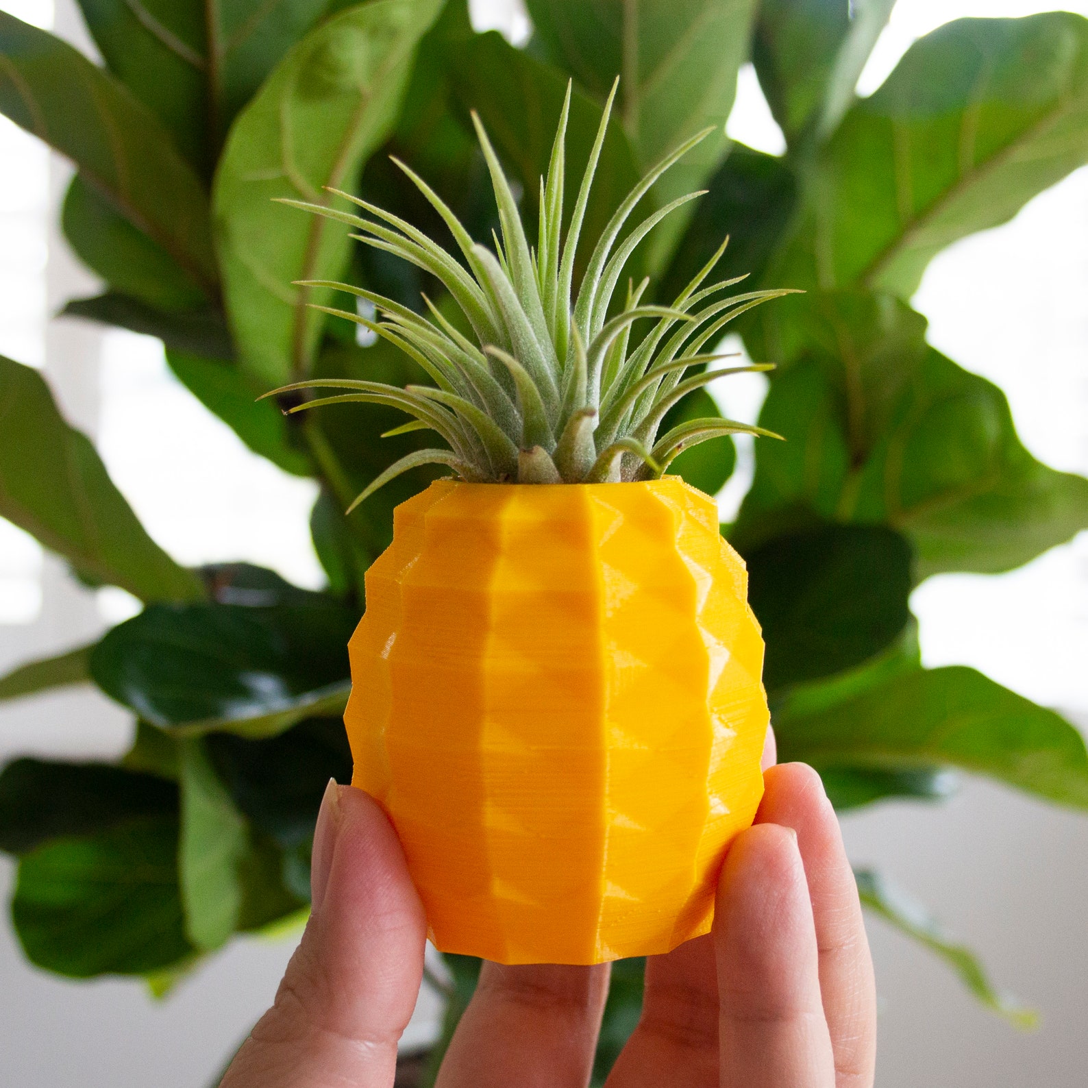 Pineapple Air Plant Holder Pineapple Airplant Geometric Air Etsy