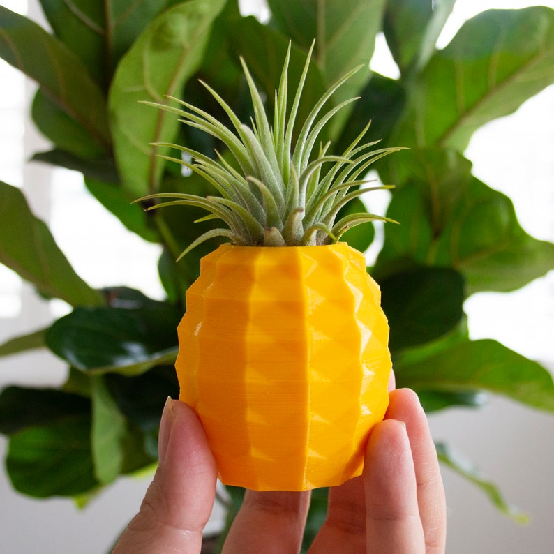 Pineapple Air Plant Holder Pineapple Airplant Geometric Air Etsy