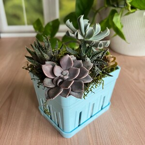 Farmhouse Berry Carton Succulent Planter with Drainage - Small Rustic Decor Rectangle Pot - 3D Printed Market-style Charm