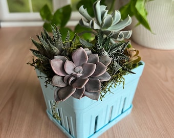 Farmhouse Berry Carton Succulent Planter with Drainage - Small Rustic Decor Rectangle Pot - 3D Printed Market-style Charm