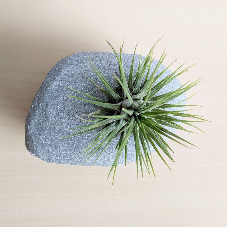 Modern Rock Air Plant Holder, Stone-Shaped Air Plant Holder Glitter & Other Color Options Glam Hygge, Fancy Air Plant image 5