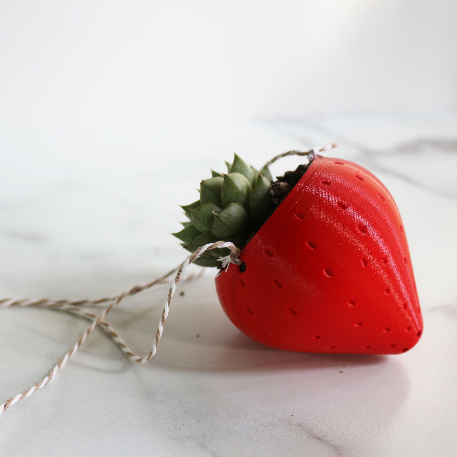 Small Strawberry Hanging Planter for Succulents Outdoor Etsy