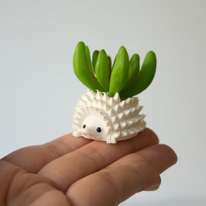 Single Mini Hedgehog Planter, Mini Hedgehog Pot, Tiny Succulent Planter, Tiny Hedgehog Air Planter NOVELTY Planter, SPECIALTY Tiny Planter image 3