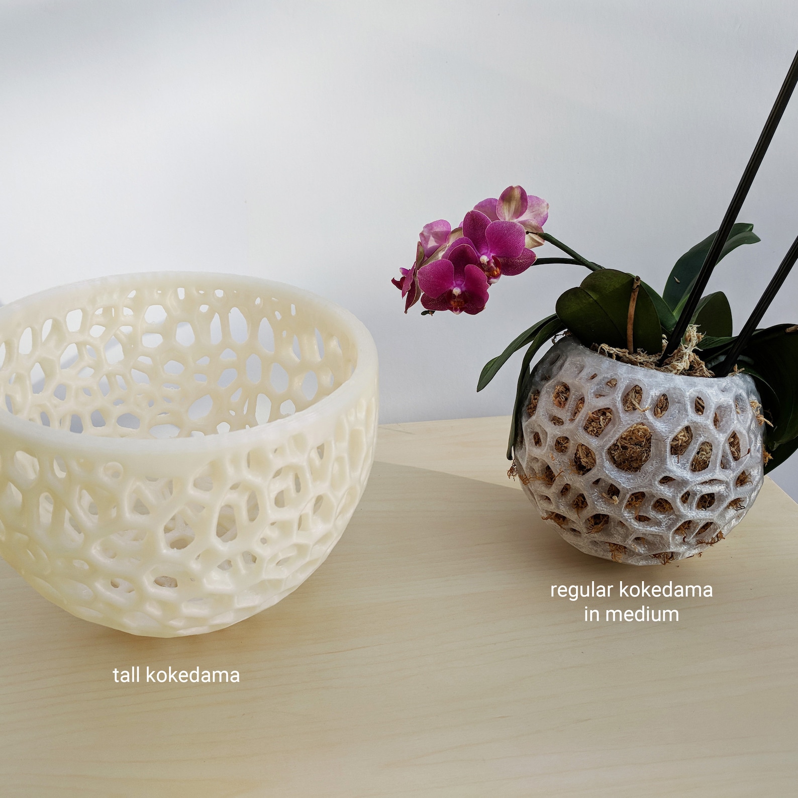 DIY Orchid Hanging Planter Kokedama for Orchids Succulents Etsy