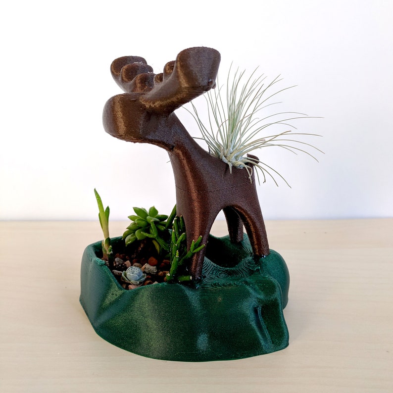 Moose Air Plant Holder and Succulent Planter Cute Moose image 0