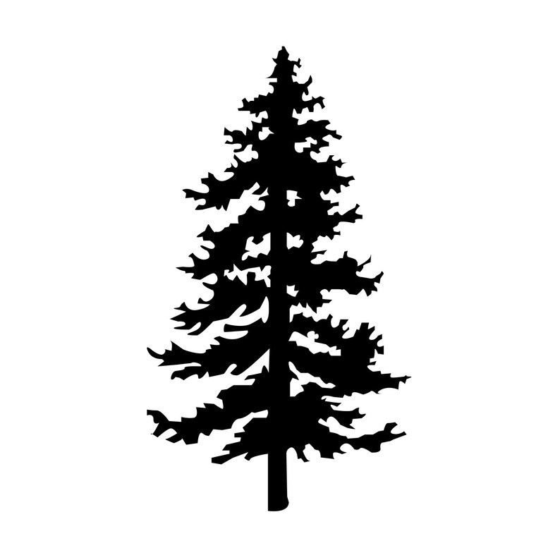 Lone Pine Tree Evergreen Computer Phone Tablet Decal Sticker Etsy