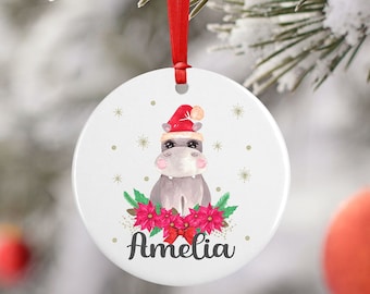 Hippo Ornament, Hippo Gift, Personalized Christmas Ornaments for Kids