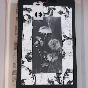 Black and White Accordion Book (E)