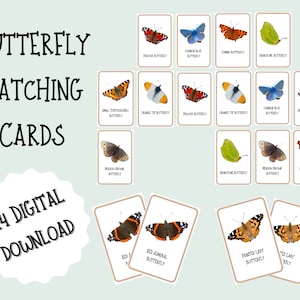 Carte di abbinamento farfalle, gioco a scatto, stampabili, istruzione Montessori, risorsa educativa all'aperto, download digitale, identificatore della natura