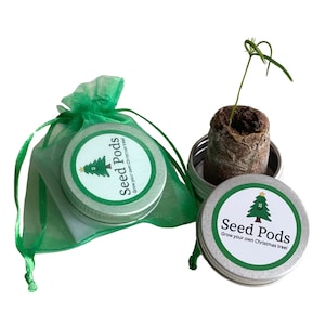 Grow your own CHRISTMAS TREE! **All you need in one tin!**