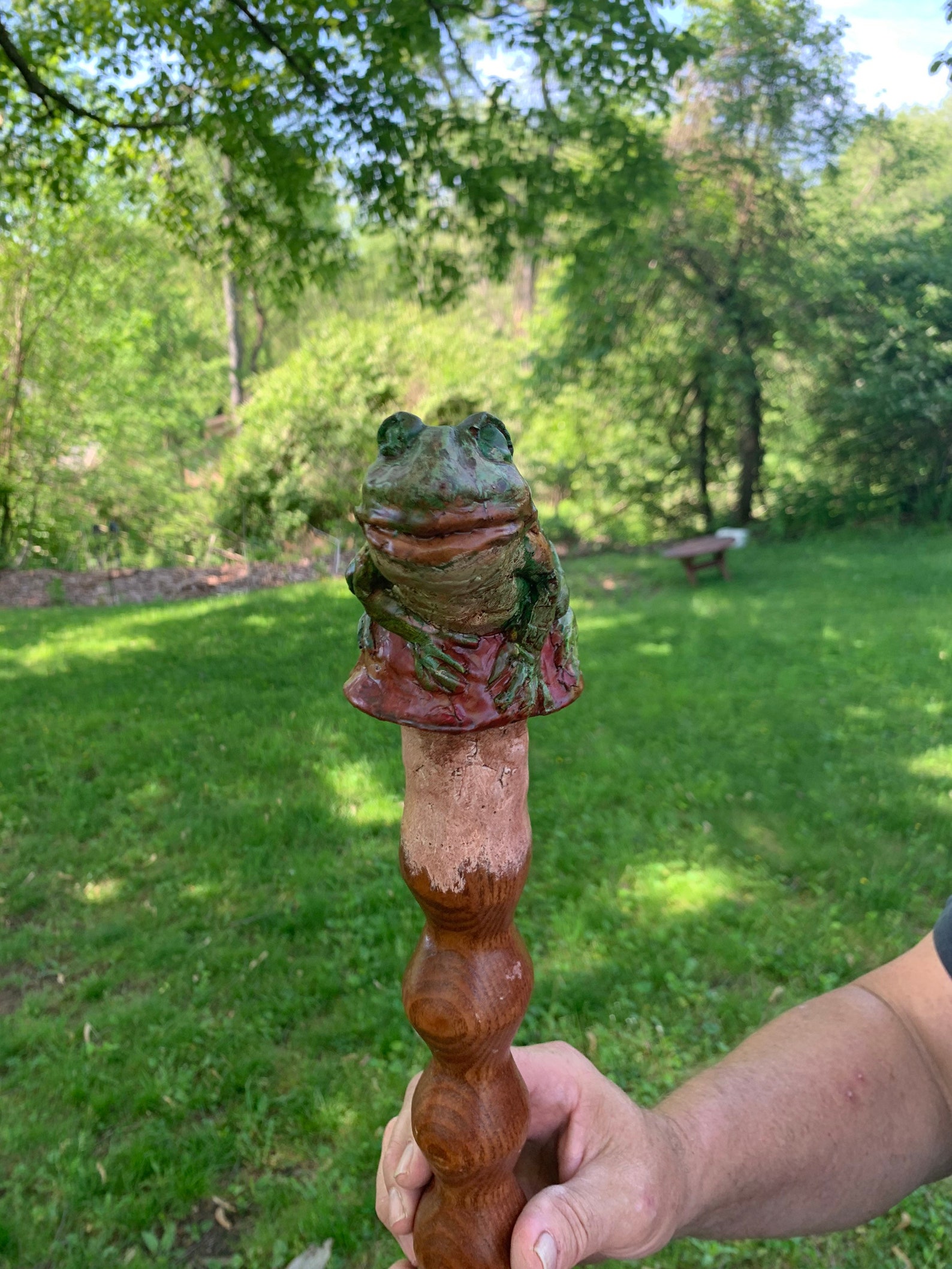 Frog Handmade Walking Stick Hand Carved Hiking Staff Etsy