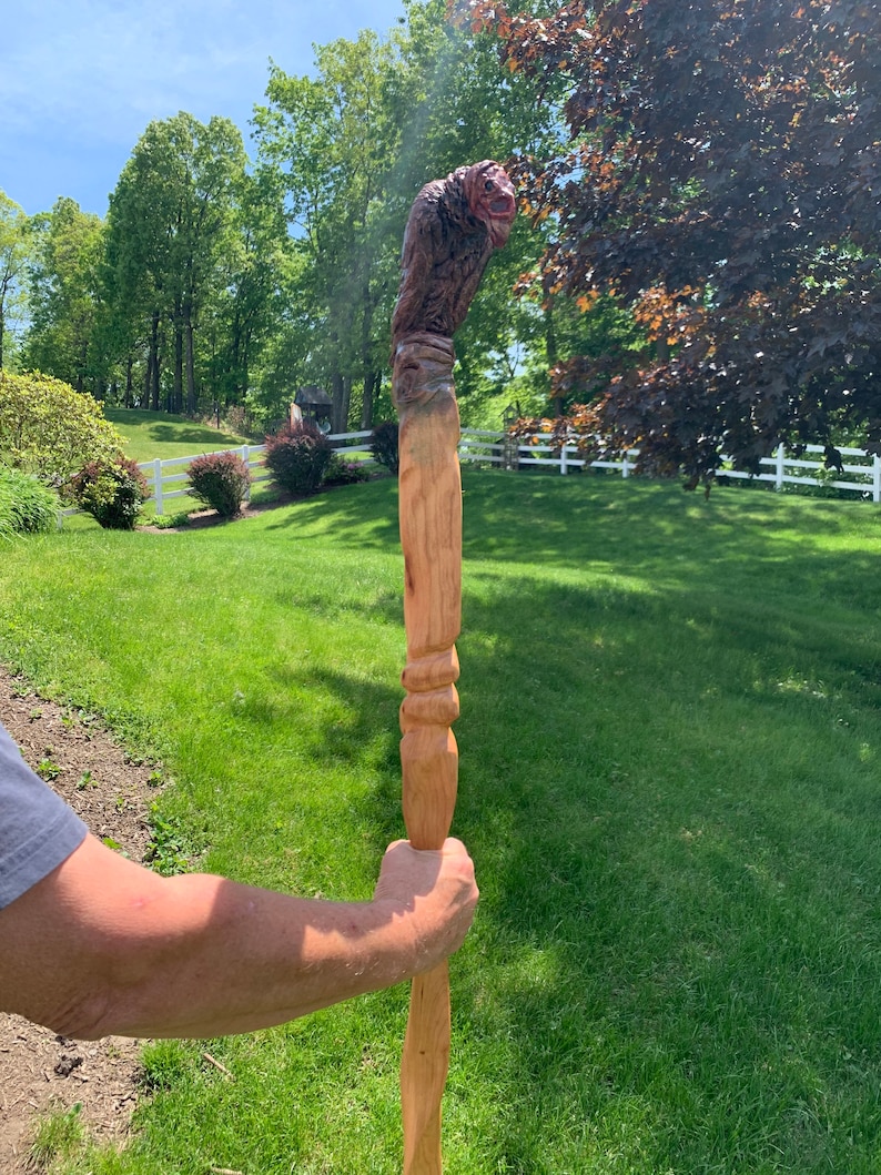 Turkey Buzzard Walking Stick Made in the USA Hand Carved Etsy
