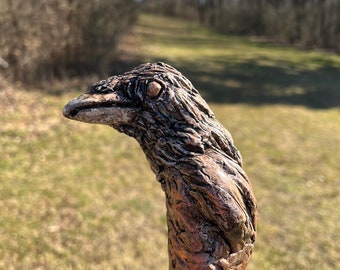 May include: A wooden walking stick with a carved bird head at the top. The bird has a detailed, textured surface and a realistic eye.