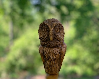 May include: A wooden owl figurine with a brown and gold finish. The owl has large, round eyes and a detailed carving of feathers.