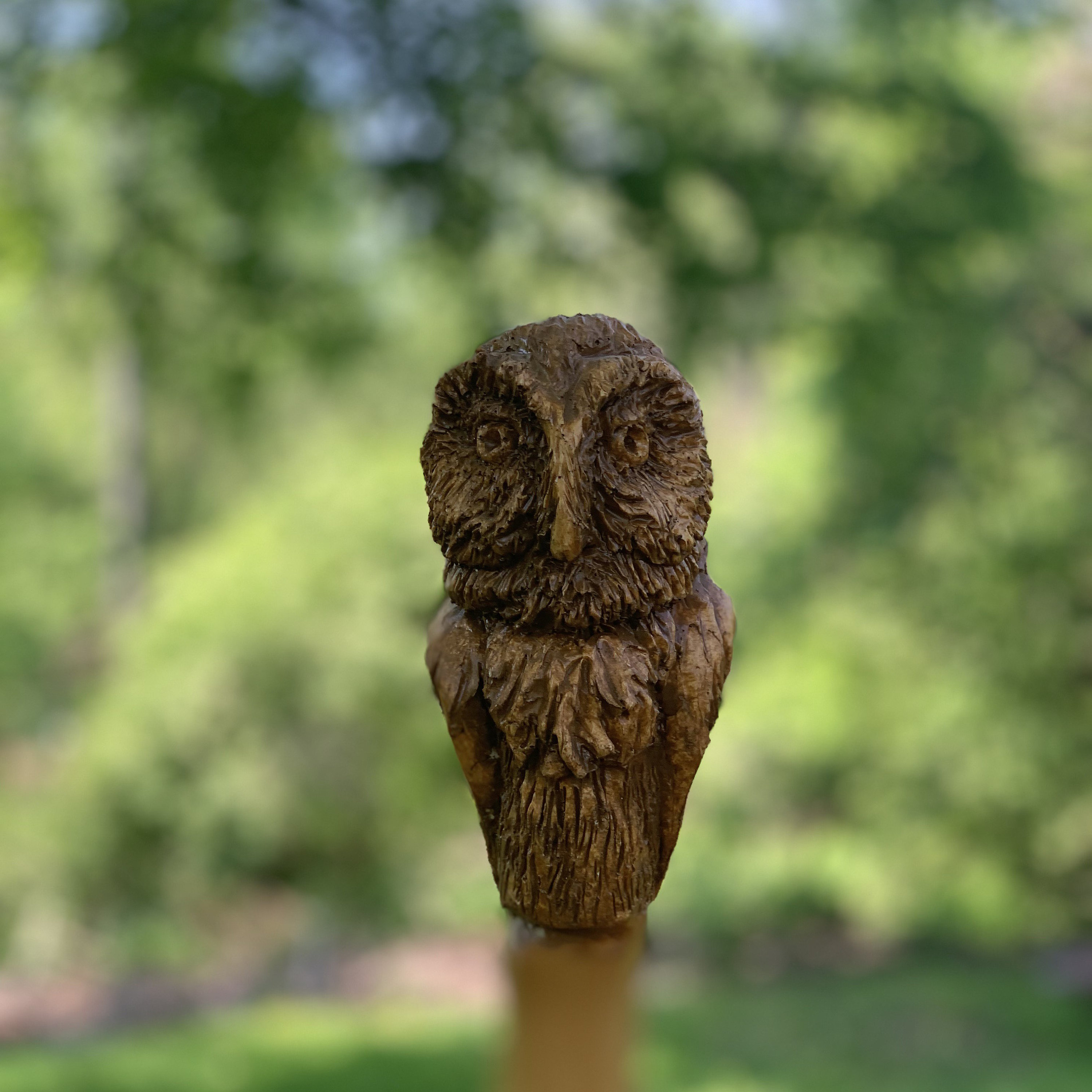 Owl Walking Stick Hand Carved Hiking Staff Decorative Cane Etsy