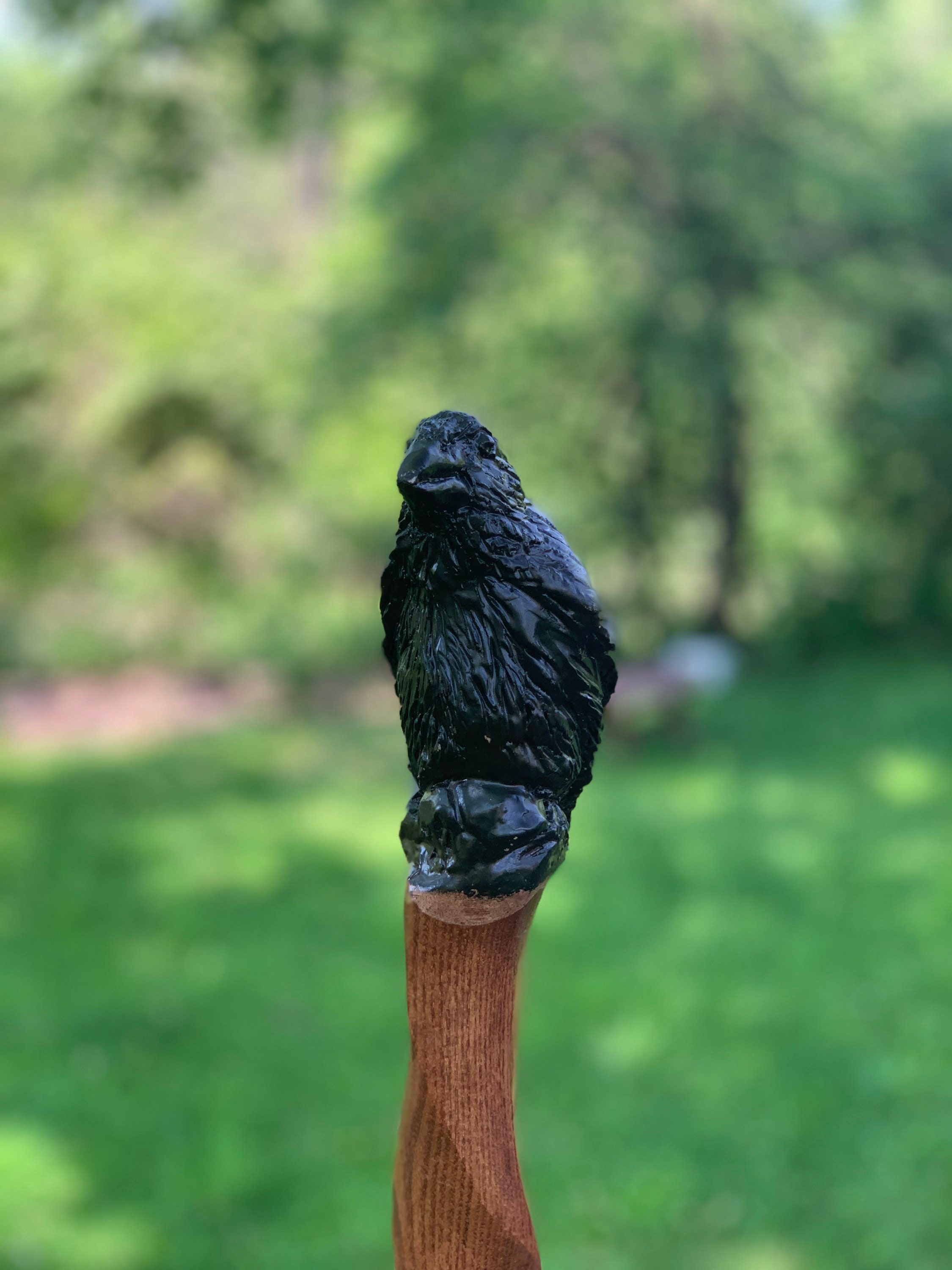Hand Carved Raven Walking Stick: USA Made Hiking Staff - Etsy