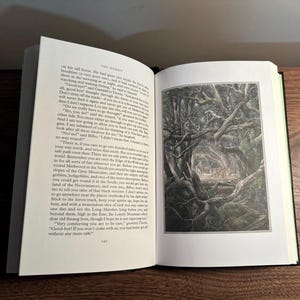 Op de afbeelding: Een open boek met tekst en een illustratie van een bos. Het boek heeft een zwarte kaft en een groene rug, en ligt op een houten oppervlak.