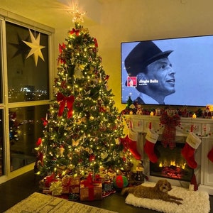 May include: A decorated Christmas tree with red and gold ornaments, a fireplace with stockings, and a dog sitting on a white rug. The television screen shows a black and white image of a man singing "Jingle Bells".