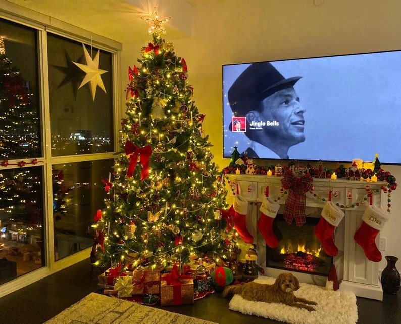 May include: A decorated Christmas tree with red and gold ornaments, a fireplace with stockings, and a dog sitting on a white rug. The television screen shows a black and white image of a man singing "Jingle Bells".