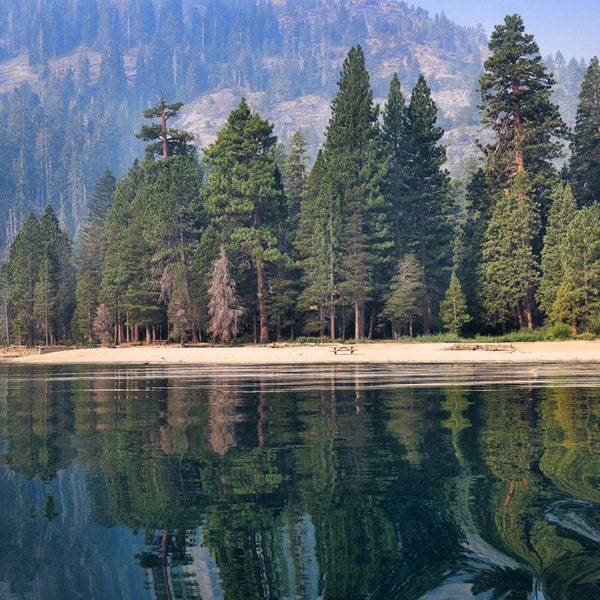 Lake Tahoe Photography, Emerald Bay Photograph, Tree Reflection, California Photo