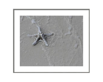 Seashell Photography, Starfish Wall Art, Beach Photography, Coastal Wall Art, Spa Wall Art, Neutral Wall Art