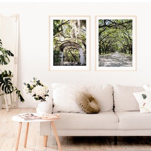Savannah Wall Art, Wormsloe Historic Site, Live Oak Tree Canopy, Savannah Print, Set of Two Prints