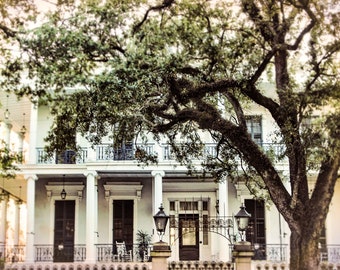 New Orleans Photography, New Orleans, New Orleans  Art,  Garden District, AHS Coven