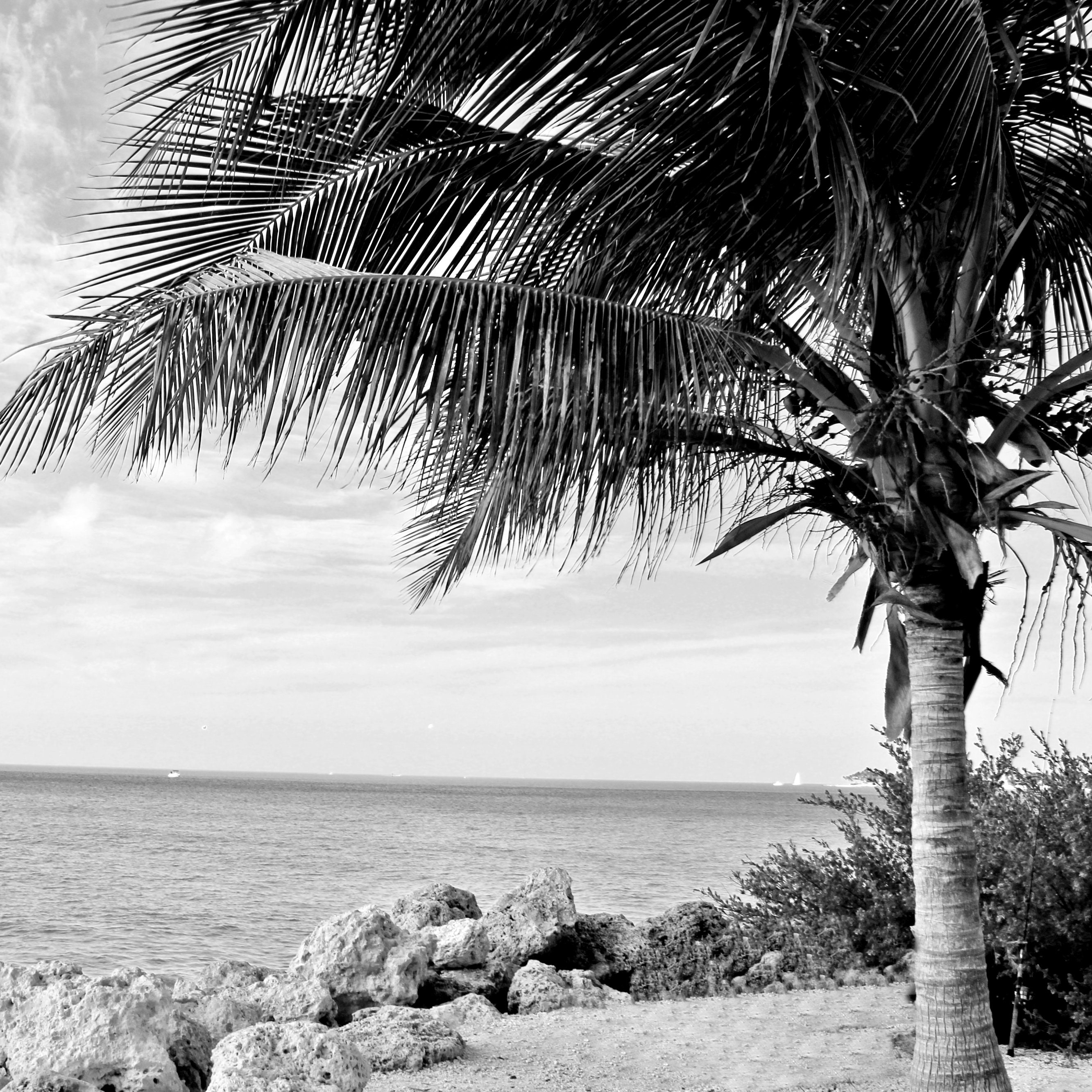 Key West Art Florida Wall Art Florida Print Set Florida Etsy