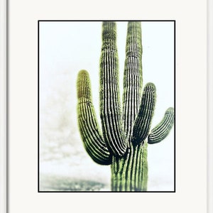 Pu&ograve; includere: Primo piano di un alto cactus saguaro verde con pi&ugrave; braccia, su uno sfondo bianco nuvoloso.